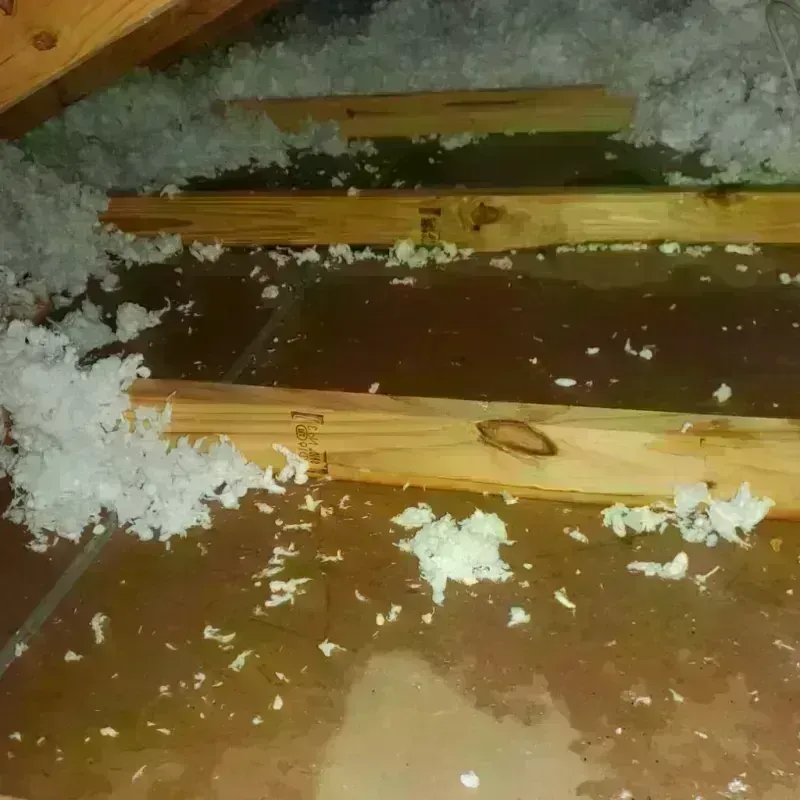 Attic Water Damage in Bradley, ME