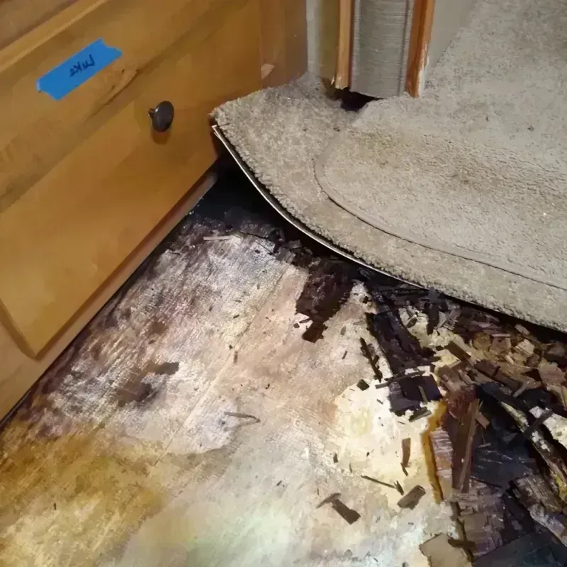 Wood Floor Water Damage in Bradley, ME